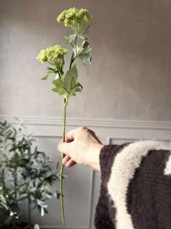 VIAMAJA Blomsterstilk - Lime Clearance