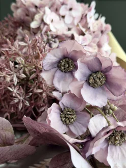 VIAMAJA Buket med hortensia - Syren / pink Online