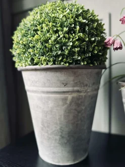 VIAMAJA Buksbom kugle 30cm Hot
