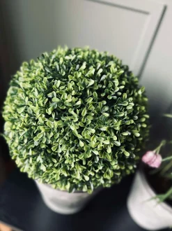 VIAMAJA Buksbom kugle 30cm Hot