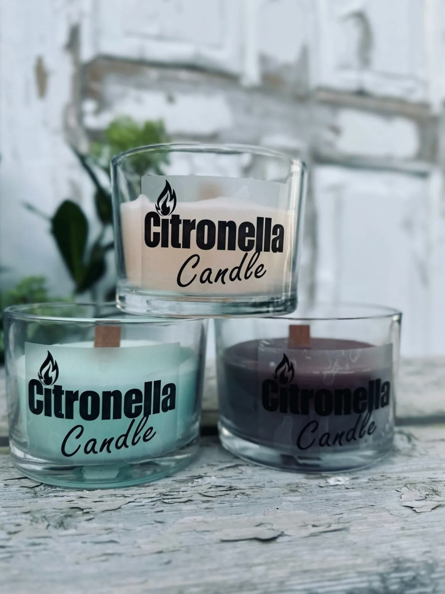VIAMAJA Citronella – Color mix New