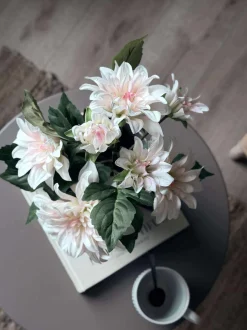 VIAMAJA Dahlia i potte - Hvid Clearance