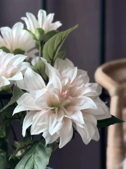 VIAMAJA Dahlia i potte - Hvid Clearance