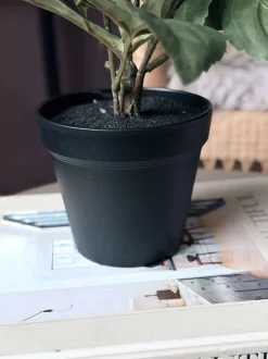 VIAMAJA Dahlia i potte - Hvid Clearance