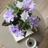 VIAMAJA Dahlia i potte - Lilla New