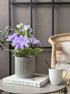 VIAMAJA Dahlia i potte - Lilla New