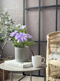 VIAMAJA Dahlia i potte - Lilla New