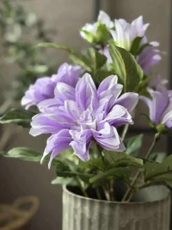 VIAMAJA Dahlia i potte - Lilla New