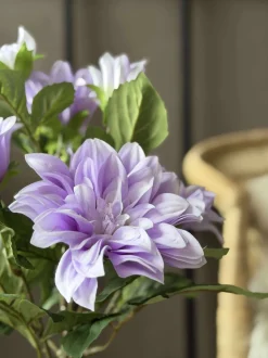 VIAMAJA Dahlia i potte - Lilla New