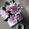 VIAMAJA Dahlia i potte - Lyserød New