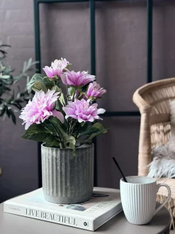 VIAMAJA Dahlia i potte - Lyserød New