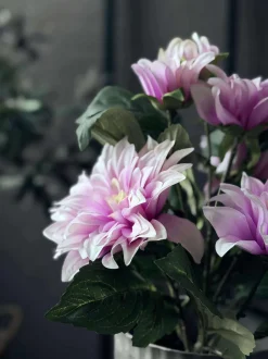 VIAMAJA Dahlia i potte - Lyserød New