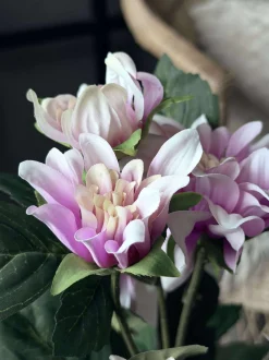 VIAMAJA Dahlia i potte - Lyserød New