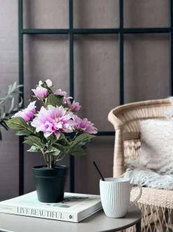 VIAMAJA Dahlia i potte - Lyserød New