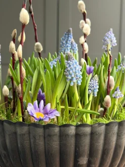 VIAMAJA DIY opsats i beton look - Stone Online