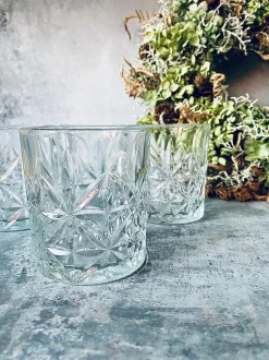 VIAMAJA Drikkeglas Pedro whisky - 4 stk 230ml Best