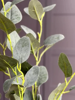 VIAMAJA Eucalyptus gren - 100cm