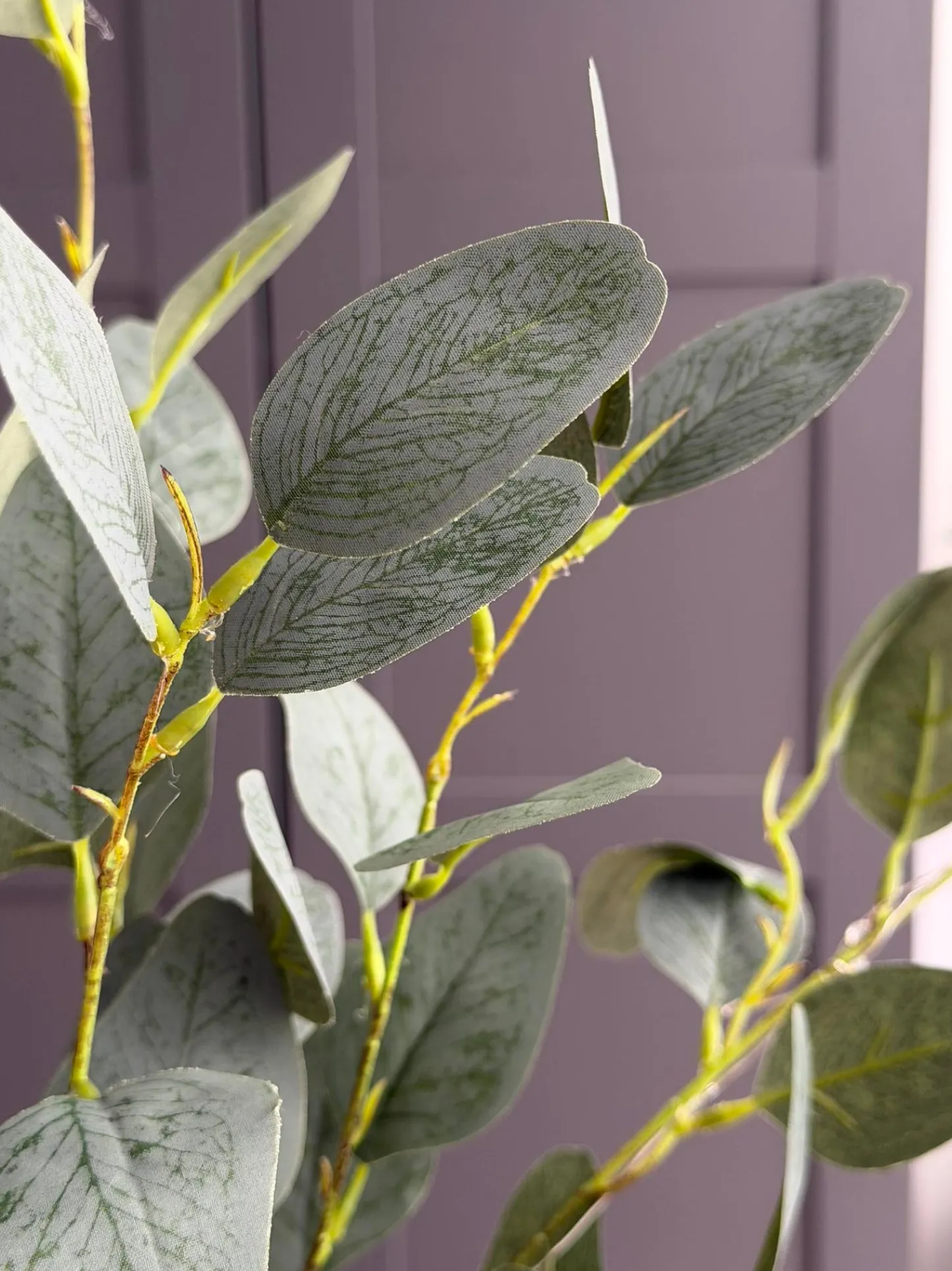 VIAMAJA Eucalyptus gren med lys - 100cm Sale