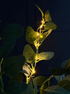 VIAMAJA Eucalyptus gren med lys - 100cm Sale