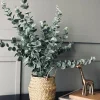 VIAMAJA Eucalyptus med kurv Online