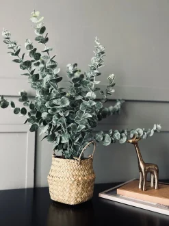 VIAMAJA Eucalyptus med kurv Online