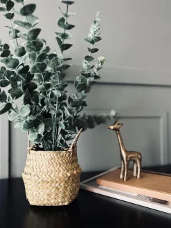 VIAMAJA Eucalyptus med kurv Online