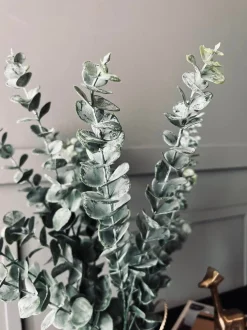 VIAMAJA Eucalyptus med kurv Online