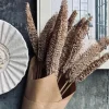 VIAMAJA Evighedsbuket - Luffa Sand Sale