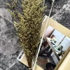 VIAMAJA Evighedsbuket Natur mix Clearance
