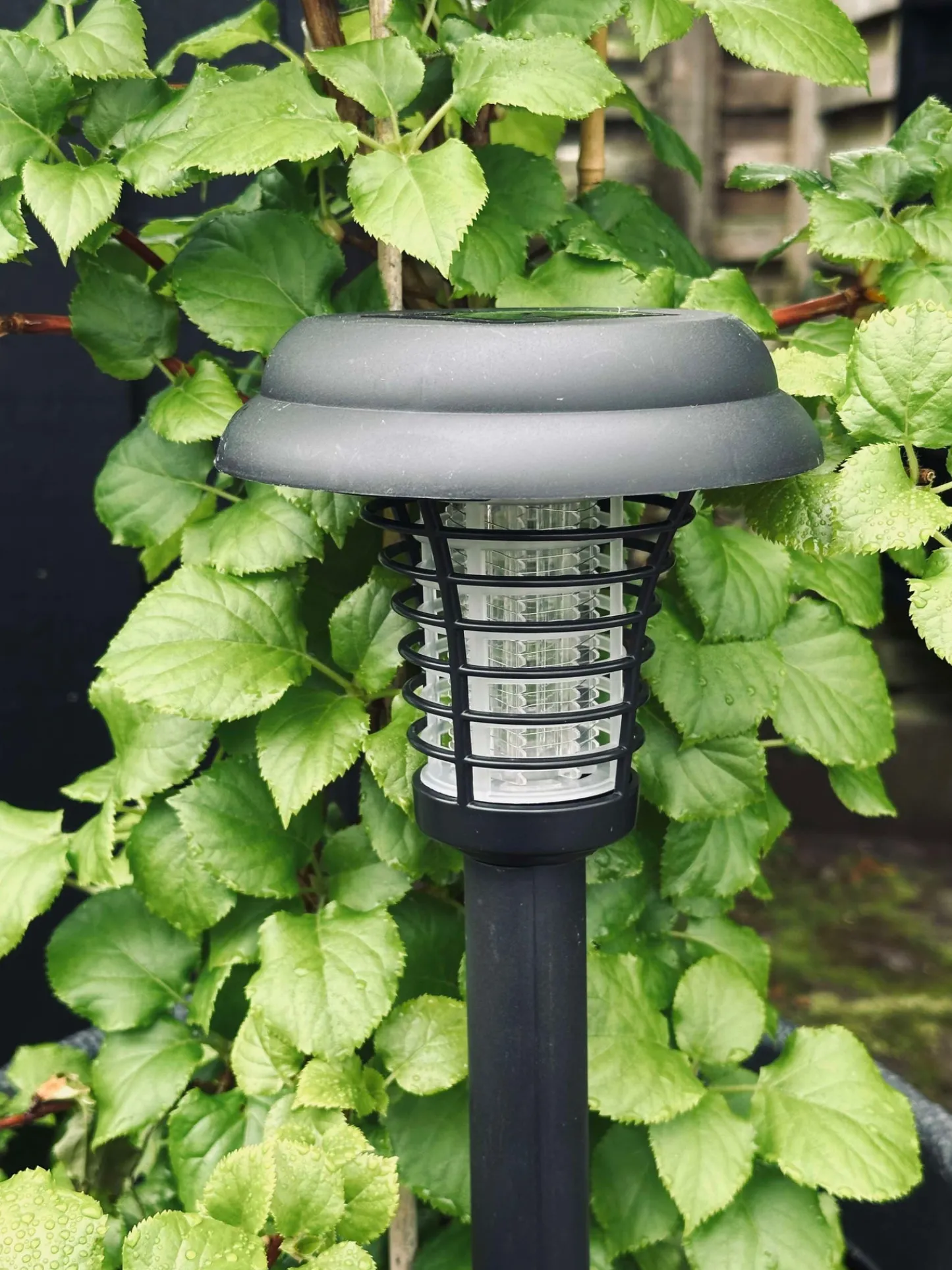 VIAMAJA Fakkel MOSQUITO 2IN1 SOLAR Best