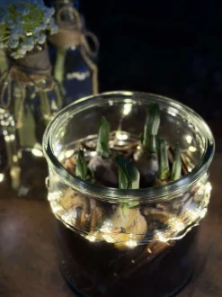 VIAMAJA Glas til dekoration Sale