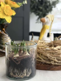 VIAMAJA Glas til dekoration Sale