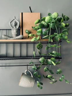 VIAMAJA Hængeplante - Fresh green Clearance