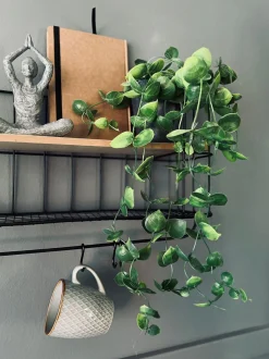 VIAMAJA Hængeplante - Fresh green Clearance