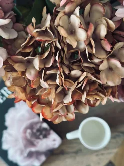 VIAMAJA Hortensia - Brændte farver Best