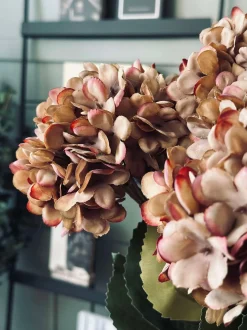 VIAMAJA Hortensia - Brændte farver Best