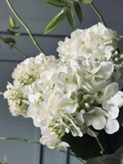 VIAMAJA Hortensia Hvid Discount
