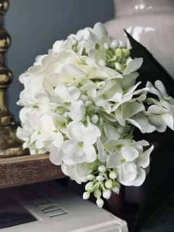 VIAMAJA Hortensia Hvid Discount