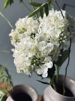 VIAMAJA Hortensia Hvid Discount