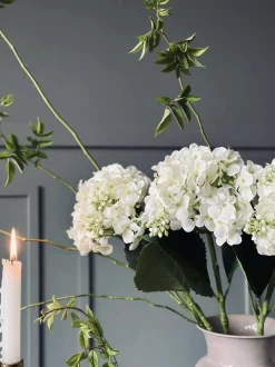 VIAMAJA Hortensia Hvid Discount