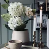 VIAMAJA Hortensia i potte - Hvid Outlet