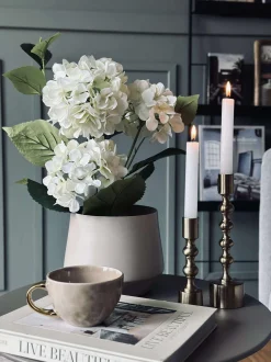 VIAMAJA Hortensia i potte - Hvid Outlet