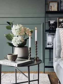 VIAMAJA Hortensia i potte - Hvid Outlet