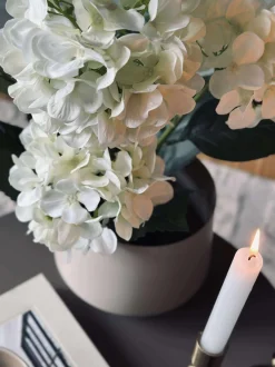 VIAMAJA Hortensia i potte - Hvid Outlet