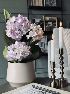 VIAMAJA Hortensia i potte - Syren Sale