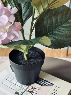 VIAMAJA Hortensia i potte - Syren Sale
