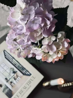 VIAMAJA Hortensia i potte - Syren Sale