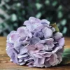VIAMAJA Hortensia Lilla Outlet
