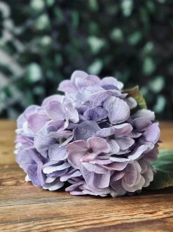VIAMAJA Hortensia Lilla Outlet
