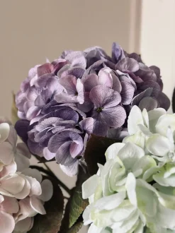 VIAMAJA Hortensia Lilla Outlet
